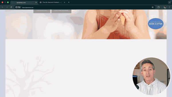 spnannies.com