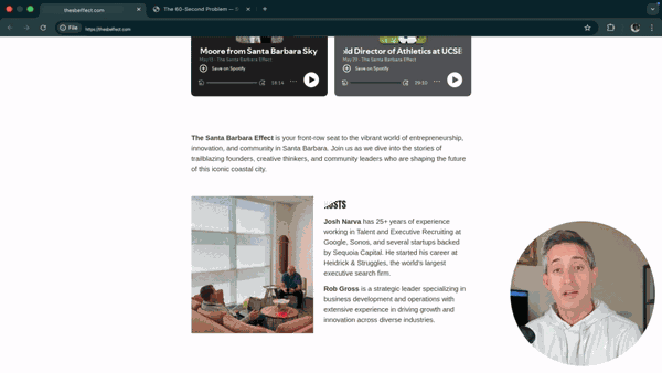 thesbeffect.com