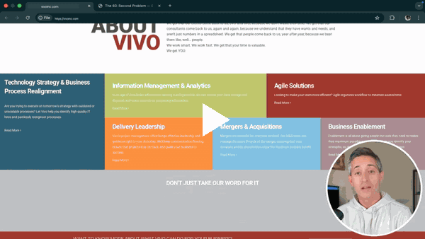 vivoinc.com